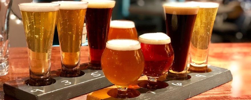 Human Village Brewing Co.