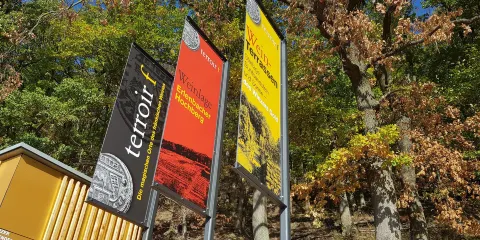 terroir f Churfranken