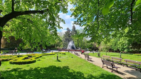 Park. Casimir the Great