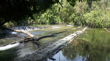 Puerto Inca Province