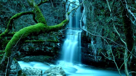 Pindos National Park