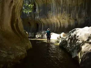 Banita Gorges