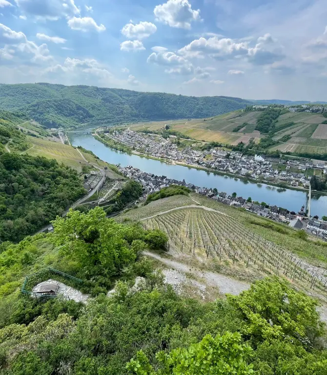Zell