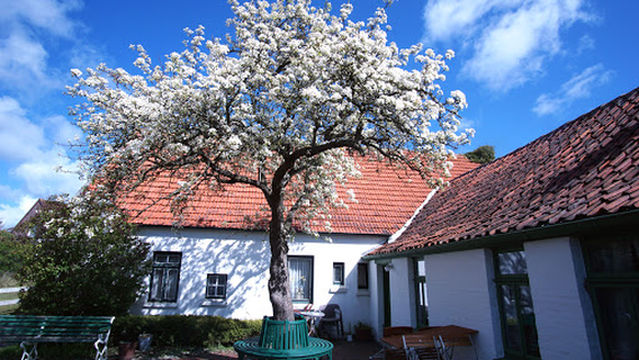 Heimatmuseum "Seemannshus"