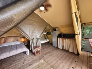 Camping Butterfly