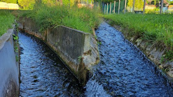 Spring river / Tapolca