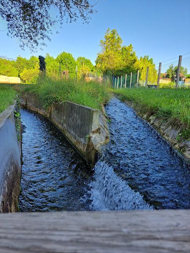Spring river / Tapolca