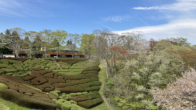宮城県民の森 木製アスレチック