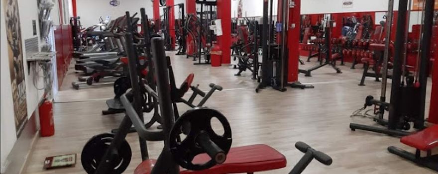 Olimpia fitness