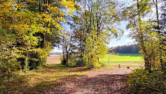 Wandergebiet Kühlenberg