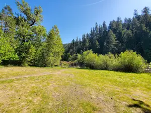 Greenwaters Park