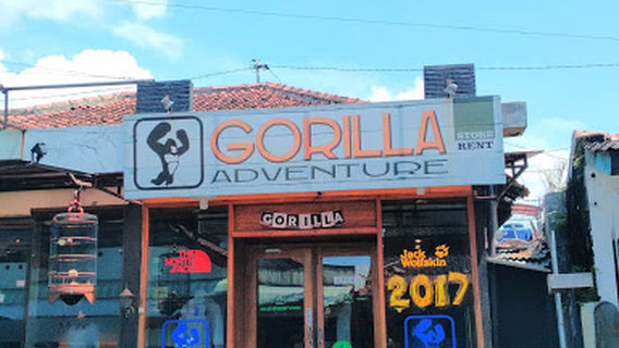 GORILLA ADVENTURE (STORE & RENT)