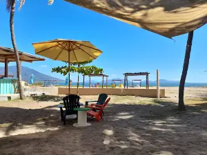 Iguana Bay