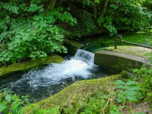 Almequellen