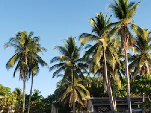 ASOB Conchalio