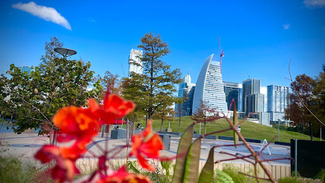 Alliance Children's Garden