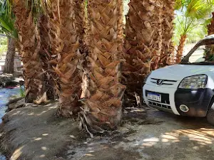 Parque Los Nacimientos