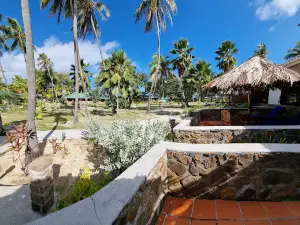 Palm Island