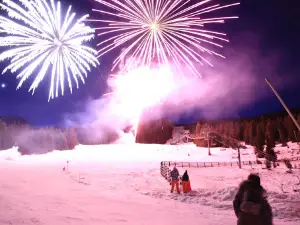 Station De Ski Les Sept Laux Pleynet