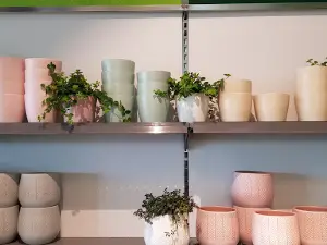 Blomsterlandet Örnsköldsvik