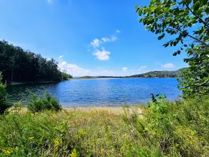 Cecil L. Gorley Naturalist Trail