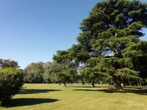 Aca - Luján Recreation Center