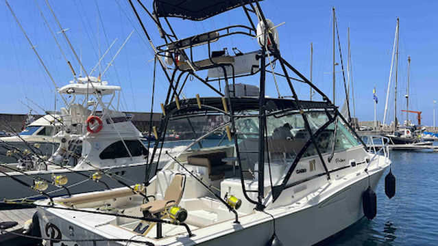 Madeira Fishing Charters