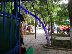 Asia Park