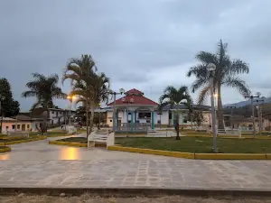 C.P. porvenir
