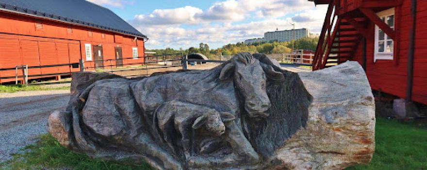 Rönninge by