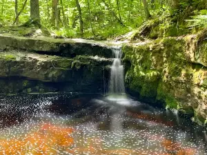 Devil's Kettle Trailhead