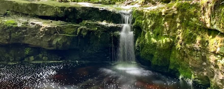 Devil's Kettle Trailhead