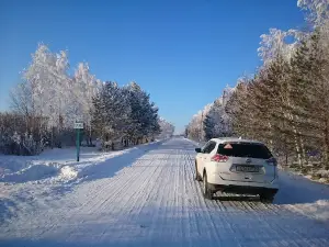 СНТ "Березовая Роща"