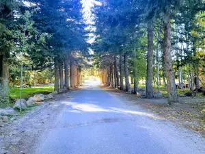 Power Plant Park