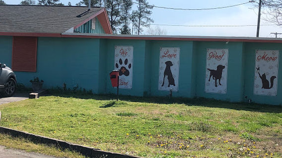 Jacksonville Veterinary Hospital