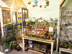 Big Bloomers Flower Farm