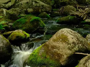 McClintock County Park