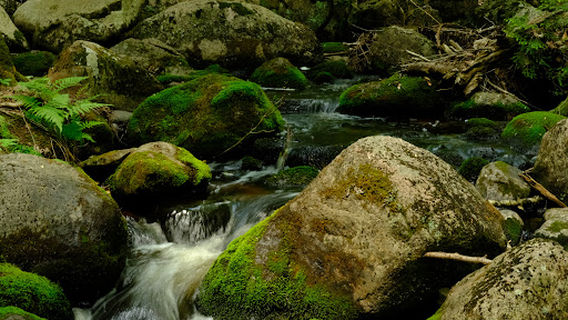 McClintock County Park
