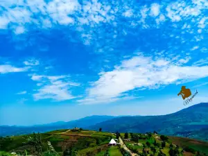 Mont Heha
