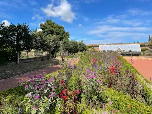 Queen Elizabeth Walled Garden, Dumfries House