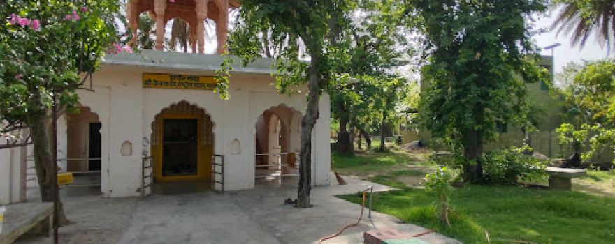 Bharatpur Bird Sanctuary