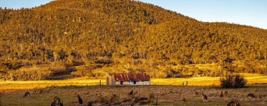 Historic Orroral Homestead