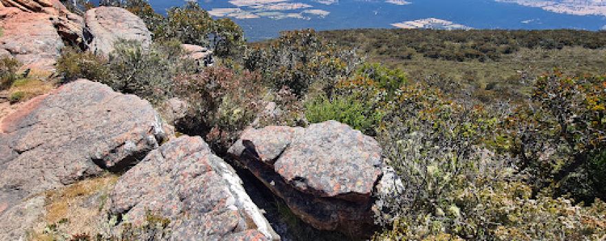 Mount William (Mount Duwil)