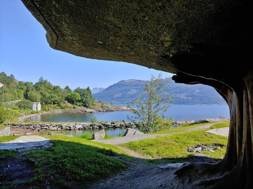 Tyrvefjøra