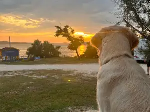AdriaSol Camping Novigrad - Dalmatien