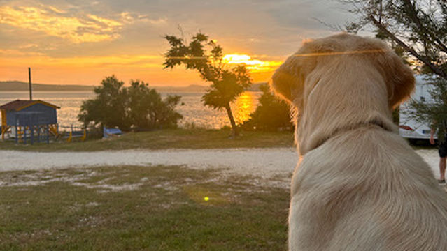 AdriaSol Camping Novigrad - Dalmatien