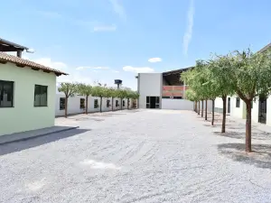 Parish St. Rita de Cássia