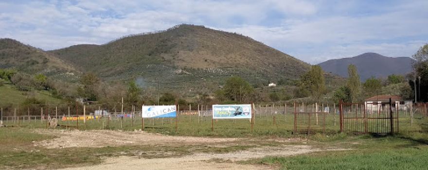 ASD Sparky Dog Agility