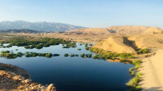 Muscat
