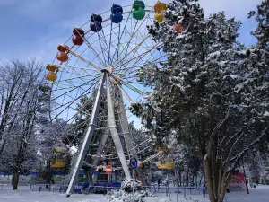 Children's park